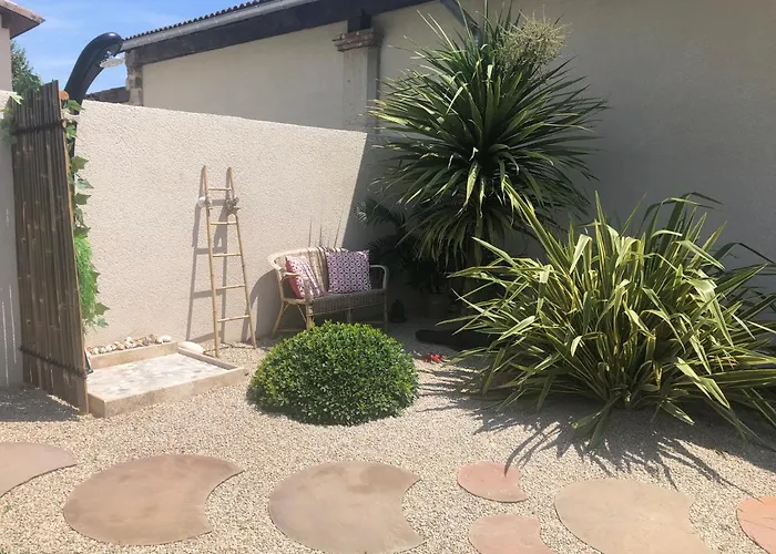 Le Vieux Platane